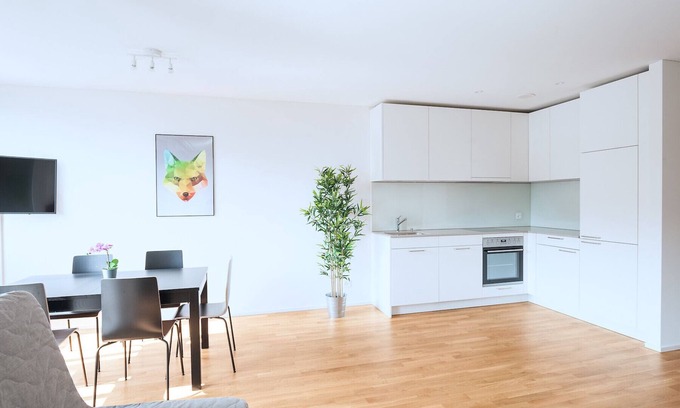Basel City Centre Apartamento | BS Fox II - Messe HITrental Apartment