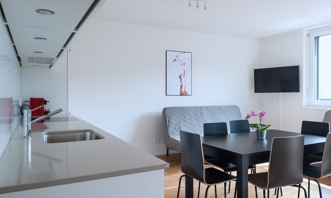 Basel City Centre Apartamento | BS Wolf V - Messe HITrental Apartment