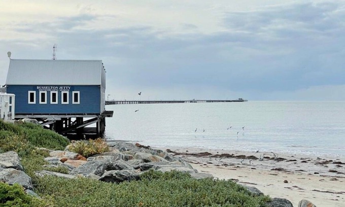 Broadwater Cabina | Budgie Smuggler - Cabin 96 GBHP