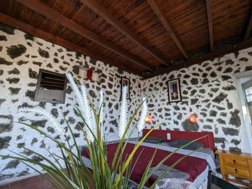 La Asomada Apartamento | Buena Vista, Sea View Apto de Oasis Vasiliko , La Asomada