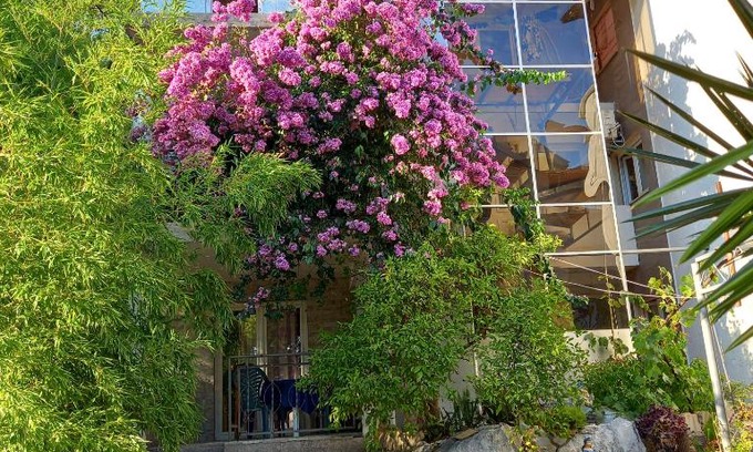 Podmaine Apartamento | Bugenvilija