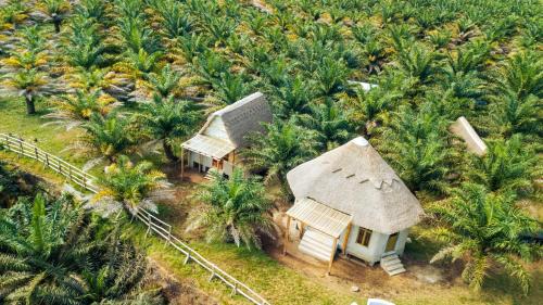 Bugala Island Complejo | Bugoma Palms Resort Sand Beach