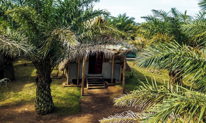 Bugala Island Cama Y Desayuno | Bugoma sand beach resort hotel