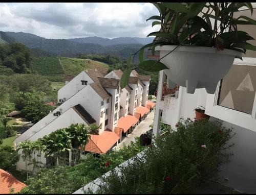 Bukit Tinggi Apartamento | Bukit Tinggi Fuchsia Hillhomes