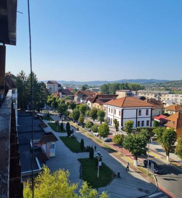 Curtea De Arges Apartamento | Bulevard View Studio
