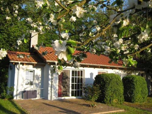 Oberhavel Complejo | Bungalow am Haussee
