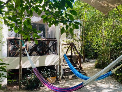 Cozumel Apartamento | Bungalow Bé La Kin