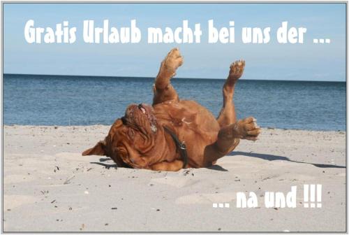 Bakenberg Casa | Bungalow WALD & SAND direkt am Strand