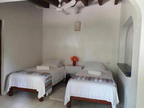 Bacocho Apartamento | Bungalow Zyan área Bacocho Starlink