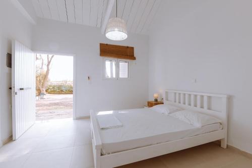 Zalongo Otro | Burano Camping Beach-Bar