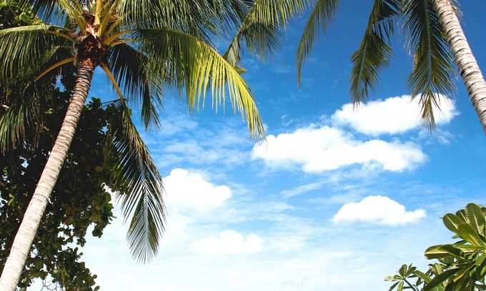 Chaweng City Center Complejo | Buri Rasa Village Samui