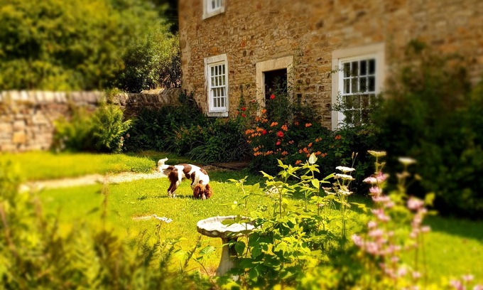 Durham Cama Y Desayuno | Burnhopeside Hall
