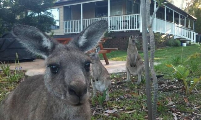 Erowal Bay Cabaña | Bush & Bay Cottage, Jervis Bay - Natures Own