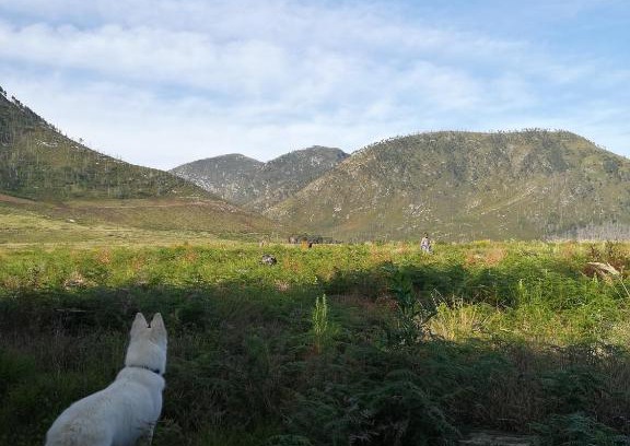 Storms River Casa | Bushman's Pillow