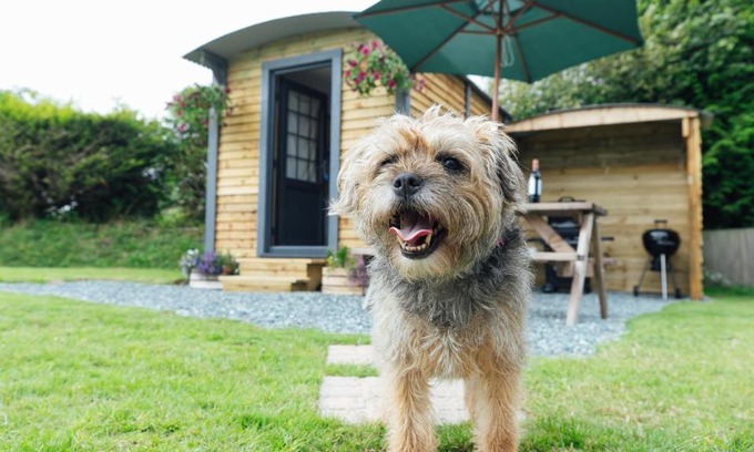 Kilgetty Otro | Buttles Shepherd's Hut