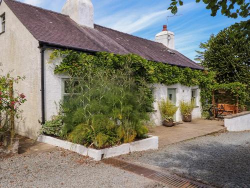 Boduan Casa | Bwthyn Gwyn Ty'n Y Pant