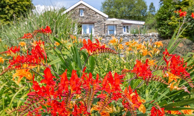 Beddgelert Cabaña | Bwythyn Y Wennol