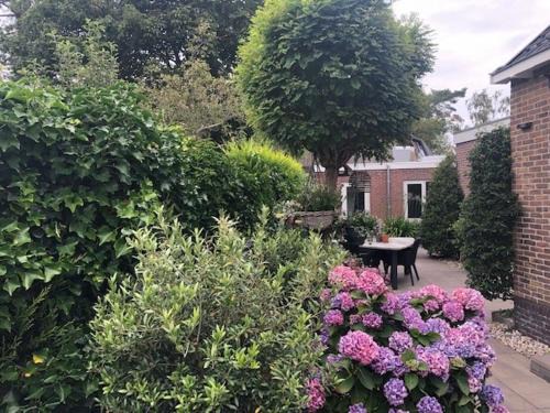 Bergen Apartamento | BY BABS guesthouse Bergen nh