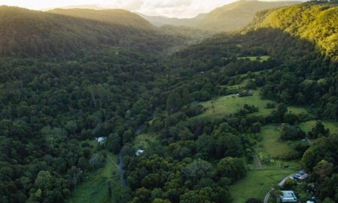 Mullumbimby Cabaña | Espacio circular - Yurta de madera en bosque lluvioso de montaña / Granja de permacultura