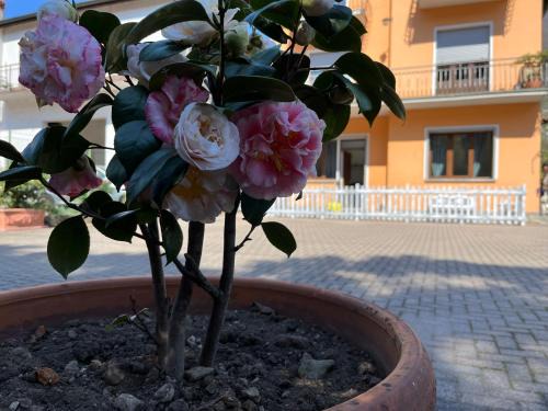 Tremezzina Casa | Cà del Fili
