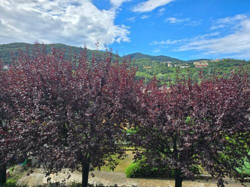 Cernobbio Apartamento | Cà Nulcin