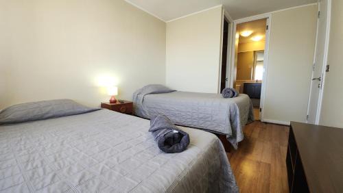 Calama Apartamento | Cómodo depto en Calama centro