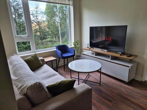 Osorno Apartamento | Cómodo y acogedor departamento