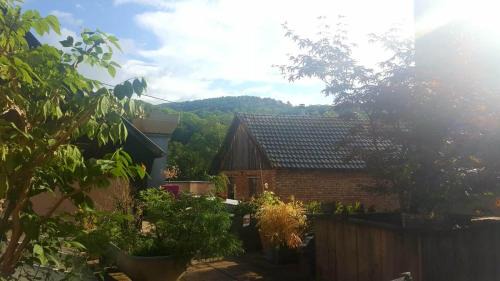 Munster Apartamento | "Côté nature", appartement cosy au cœur de Munster