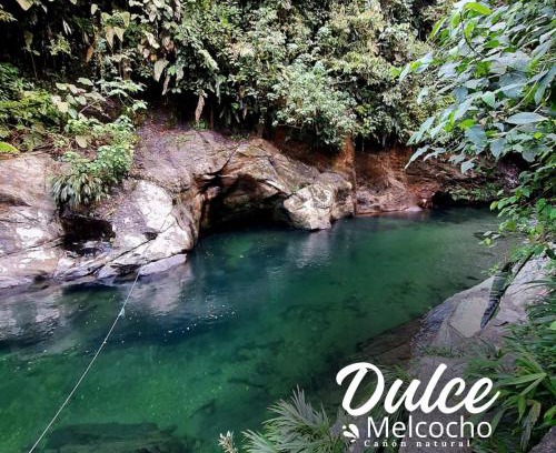 El Carmen de Viboral Casa | Cañón Dulce Melcocho