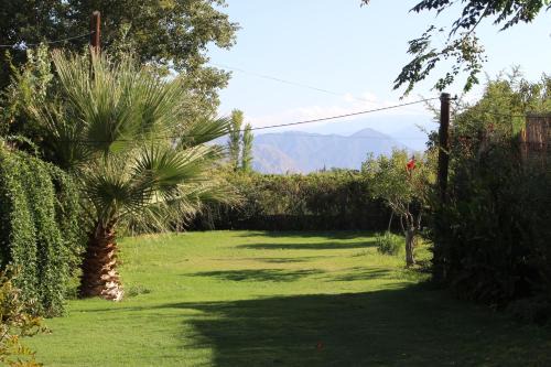 Departamento Úllum Casa | Cabaña Anjana