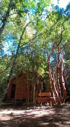 Pucon Apartamento | Cabaña Arrayan