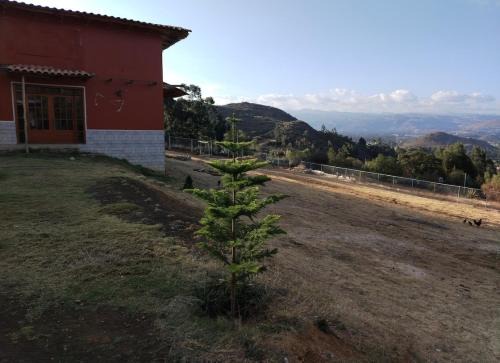Cajamarca Cama Y Desayuno | Cabaña casa de campo a 20 minutos de la ciudad de Cajamarca