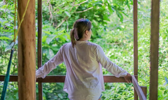 Huautlco Cabina | Cbaña Ceiba - Conexión con la Naturaleza