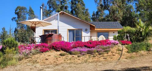 San Antonio Casa | CABAÑA DE CAMPO