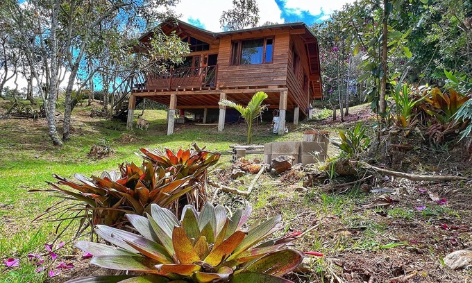 Medellin Cabina | CABAÑA DISFRUTO AL BOSQUE SANTA ELENA