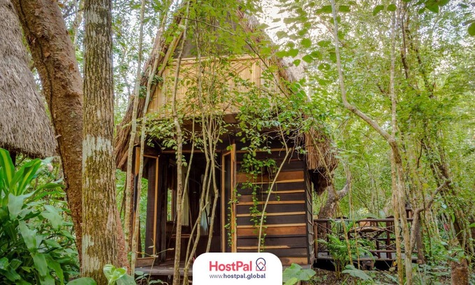 Leona Vicario Cabina | Cabaña Eco Friendly | Desconectar para conectar