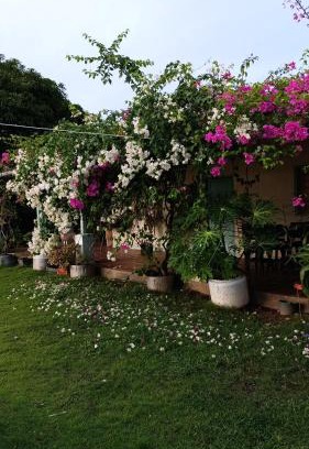 Bonda Casa | Cabaña Ecoturismo Los Mangos