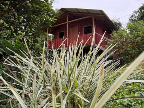 Quebrada La Gamba Casa | Cabaña En El Bosque
