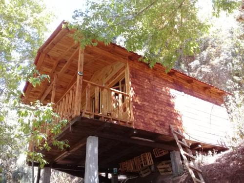 San Jose del Pacifico Otro | Cabaña en el Bosque de San José del Pacifico 2