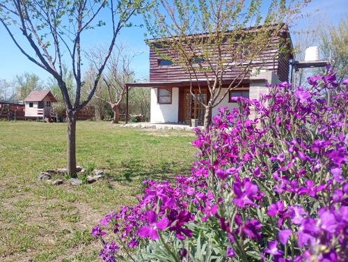 Cerro de las Rosas Apartamento | Cabaña Mitimay