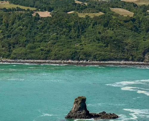 Chepu Apartamento | Cabaña para 3 en playa de CHILOE