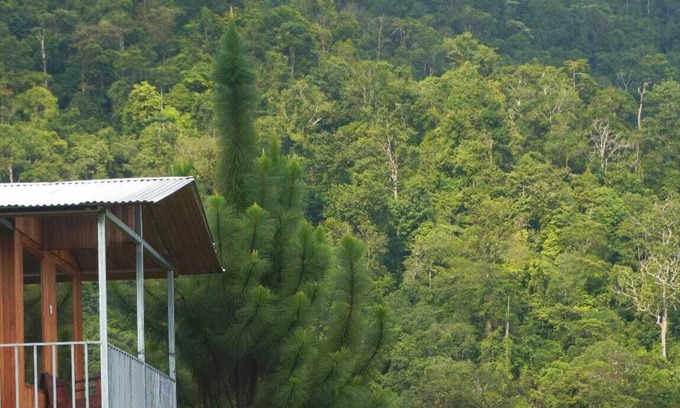 Barú Cabaña | Cabaña para dos con una increíble vista al bosque de Platanillo