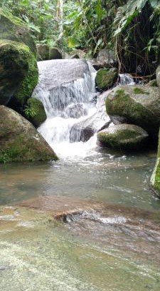Cocorna Cabina | Cabaña Raíces del Bosque