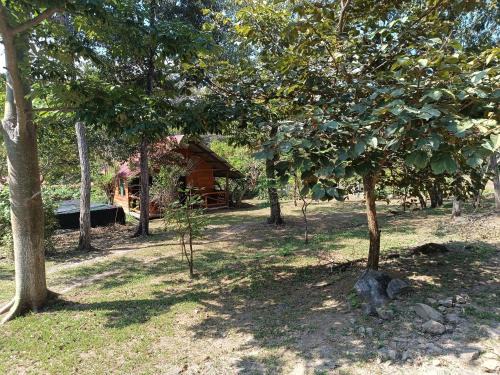 Curubande Apartamento | Cabaña Rincón de Curubandé