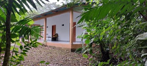 Lacanjá Hotel | Cabaña Sak Ja Selva Lacandona