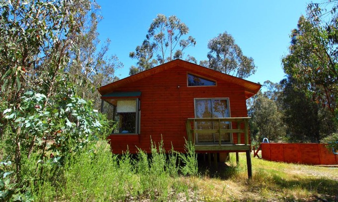 Algarrobo Casa | Cabaña Vintage