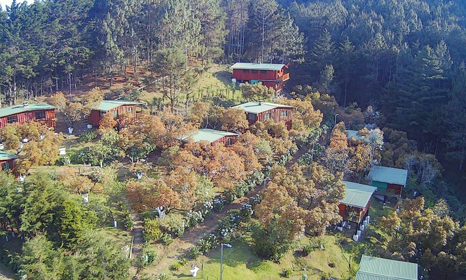 La Palma Cabina | Cabañas Alla Arriba