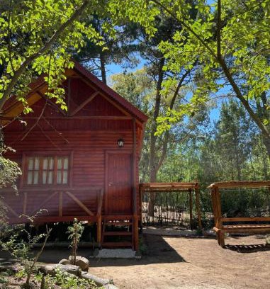 Aguas Verdes Casa | Cabañas Alquimia - Tu lugar de descanso