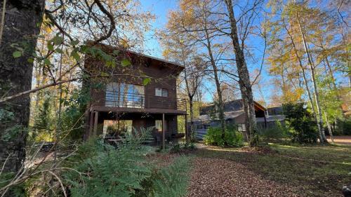 Pucon Casa | Cabañas Alto Bosque