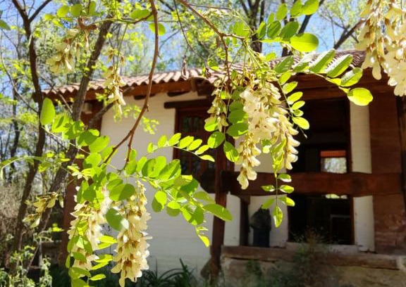 Santa Rosa de Calamuchita Chalet De Esquí | Cabañas Franca Austral